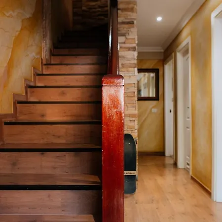 호스텔 Endless Summer Vibes