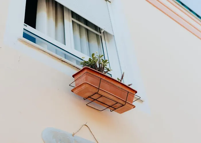 אכסניה Endless Summer Vibes *